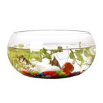 Wholesale Glass Vase HP-003 - Image 5